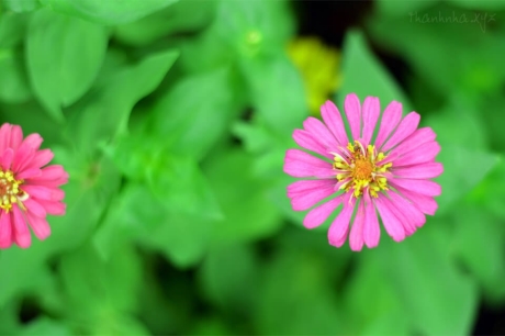 Muốn nhìn người thì hãy nhìn vào mắt và mũi của họ Muốn nhìn người thì hãy nhìn vào mắt và mũi của họ