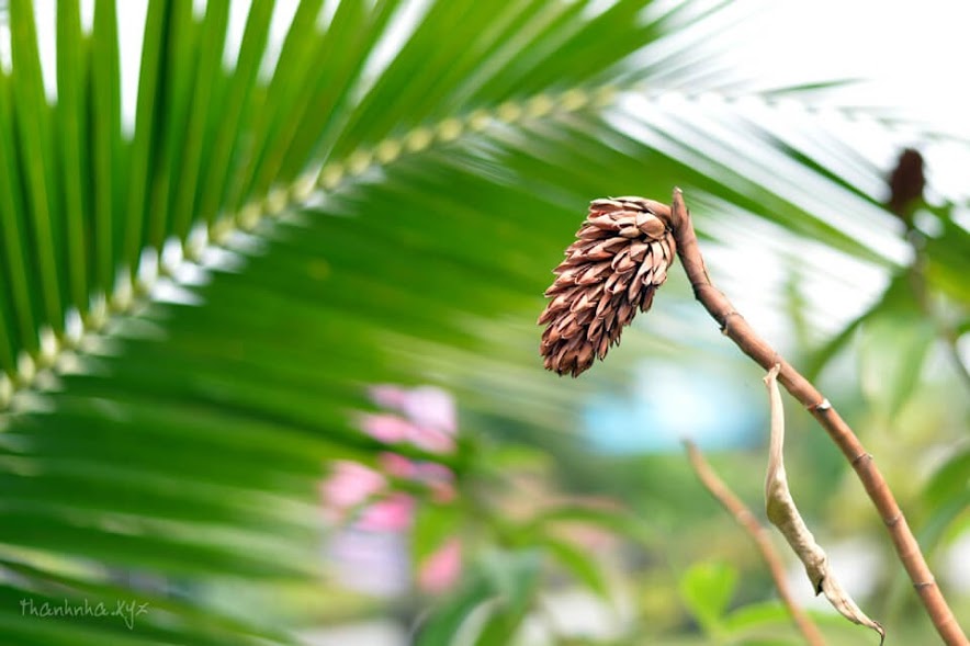 Vì sao nói: Tiểu nhân thường trách người, quân tử tự trách mình? Vì sao nói: Tiểu nhân thường trách người, quân tử tự trách mình?