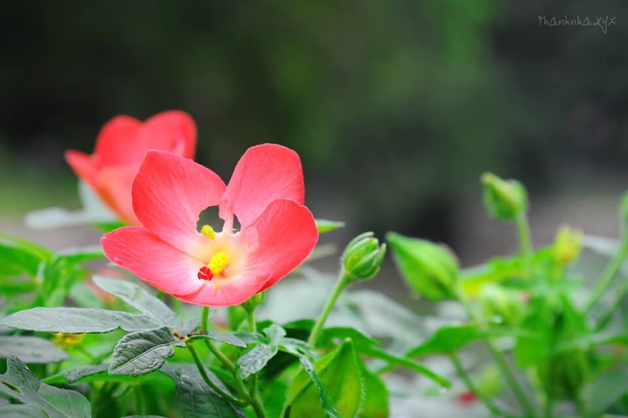 Thỏa mái trong căng thắng Thỏa mái trong căng thắng