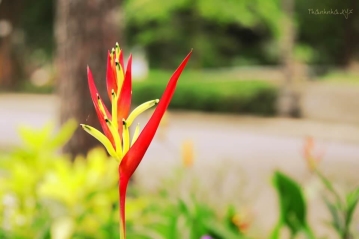 10 điều tuyệt vời của cuộc sống, mất đi rồi khó lấy lại được 10 điều tuyệt vời của cuộc sống, mất đi rồi khó lấy lại được