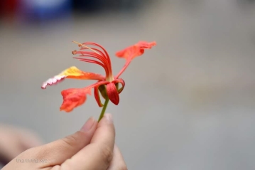 Đừng bao giờ từ bỏ ước mơ Đừng bao giờ từ bỏ ước mơ