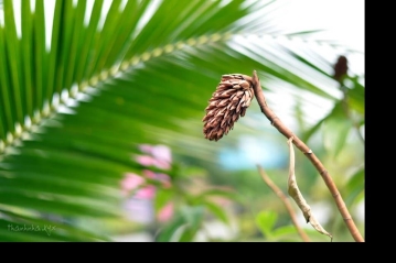 Vì sao nói: Tiểu nhân thường trách người, quân tử tự trách mình? Vì sao nói: Tiểu nhân thường trách người, quân tử tự trách mình?