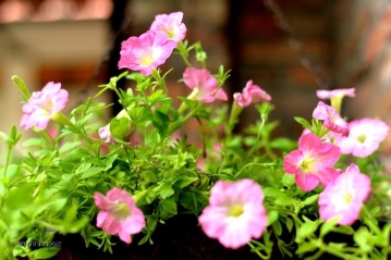 4 điều Trang Tử răn dạy để không dễ dàng tức giận 4 điều Trang Tử răn dạy để không dễ dàng tức giận