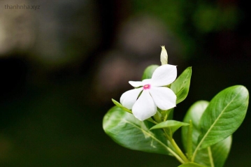 Những bài học lưu lại để học mỗi ngày để thay đổi bản thân Những bài học lưu lại để học mỗi ngày để thay đổi bản thân